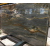 Luxury Home Wall Decoration Brazilian Exotic Granite Slabs