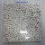 Attractive China G655 White Diamond Granite Slab