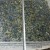 Olive Green Granite Flamed Finish With China Best Price