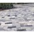 Natural Wooden Texture Blue White China Marble Stone Interior Flooring Tiles Ourdoor Paving Swimming Pool Coping Tile