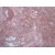 Zijing Red Marble  Quarried In China Red