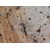 Galaxy Chip Marble  Quarried In Pakistan Beige