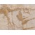 Iran Beige Coffee Gold Marble