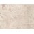 Venezuela Beige Crema Caracol Marble