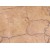 Egypt Beige Misty Rose  Marble