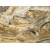  Italy  Arabescato Orobico Gold Marble