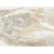 Italy White Calacatta Pompeii Marble