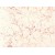 Turkey Pink Ivory Rosalia Marble