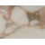 Italy White Calacatta Oro Extra Vagli Marble