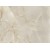 Brazil White Bianco Fontaine Quartzite