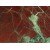 Brazil Red Moulin Rouge Quartzite