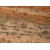 India Multicolor Amber Fantasy Granite