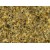 Brazil Antique Yellow Granite