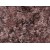  India Bordeaux Ruby Granite