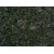 India Grass Green Granite