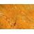  India  Yellow Shalimar Gold Granite