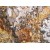 India Gold Atlas Granite