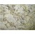  Spain Beige Crema Antarctica Granite