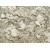  Brazil Beige  African Rainbow Granite