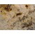 Brazil Beige Colonial Treasure Granite