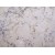  Brazil White  Crema Romano Granite