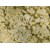 Brazil Yellow Fantastic Marbrasa Granite