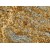 Brazil Yellow Summer Light Granite