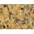 Brazil Yellow Giallo Parthenon Granite