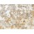 India Yellow Colonial Dream Granite