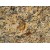 Australia Giallo Portofino Yellow Granite