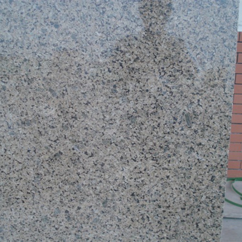 Cheap Mongolia Tropical Brown Rough Granite Slab