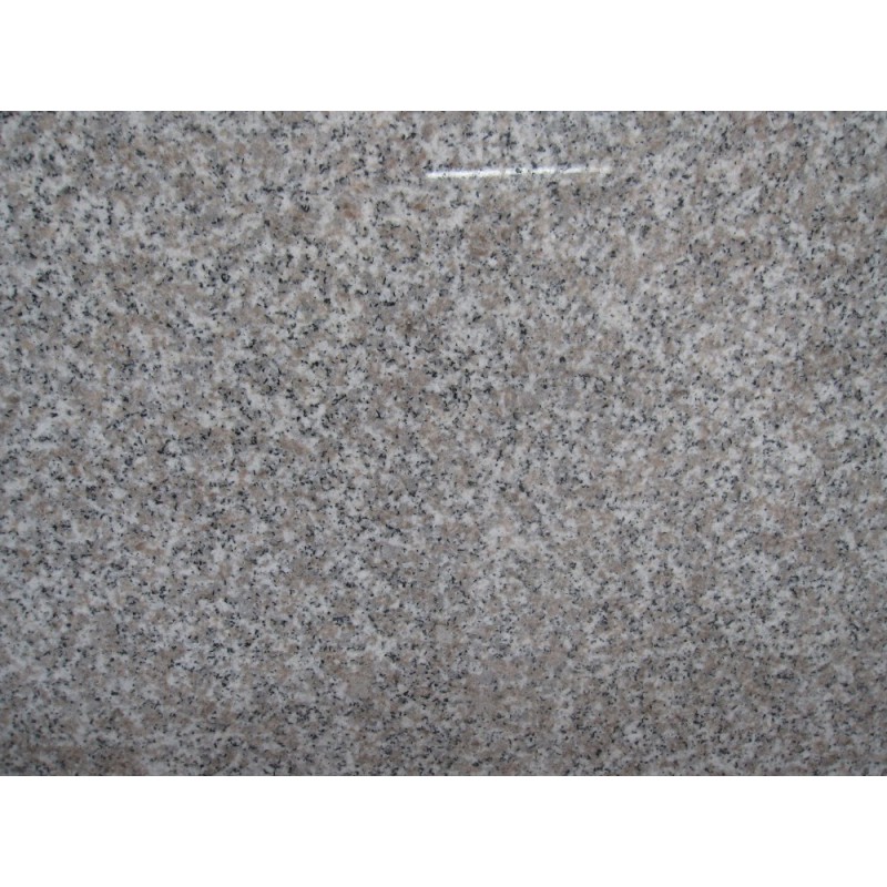 China Cheap Price Polished Rosa Beta Pink Grey G623 Fossil Granite Slab