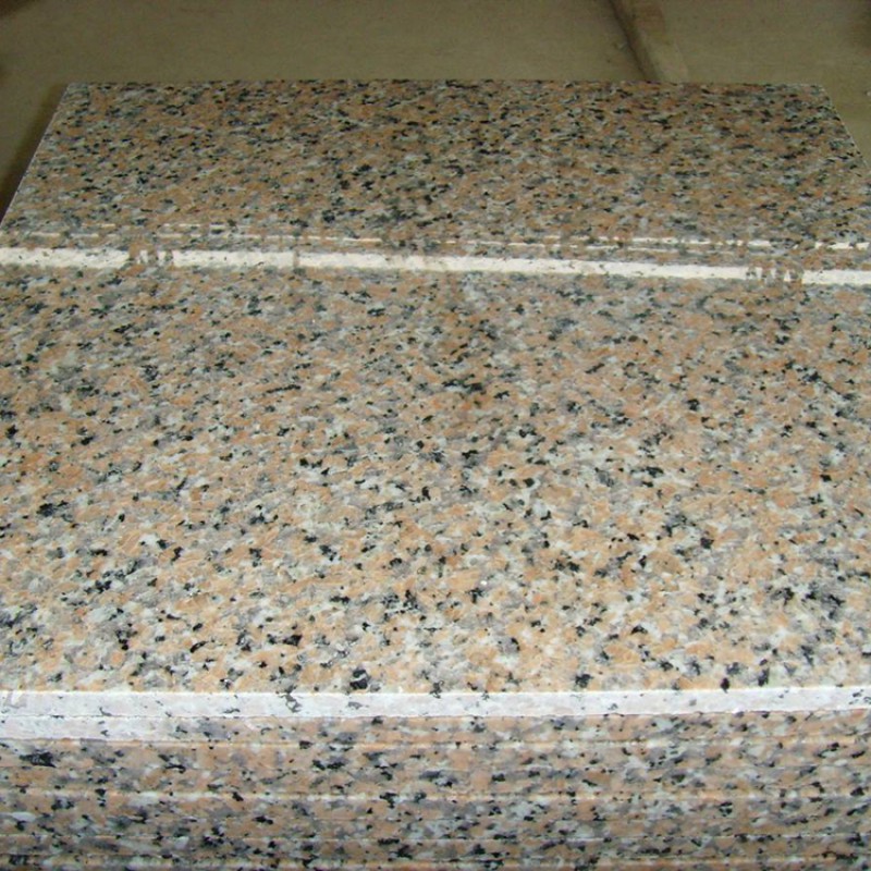 High Quality Cheap Price G564 Rosa Porrino Granite Floor Tiles 60*60 Wholesale