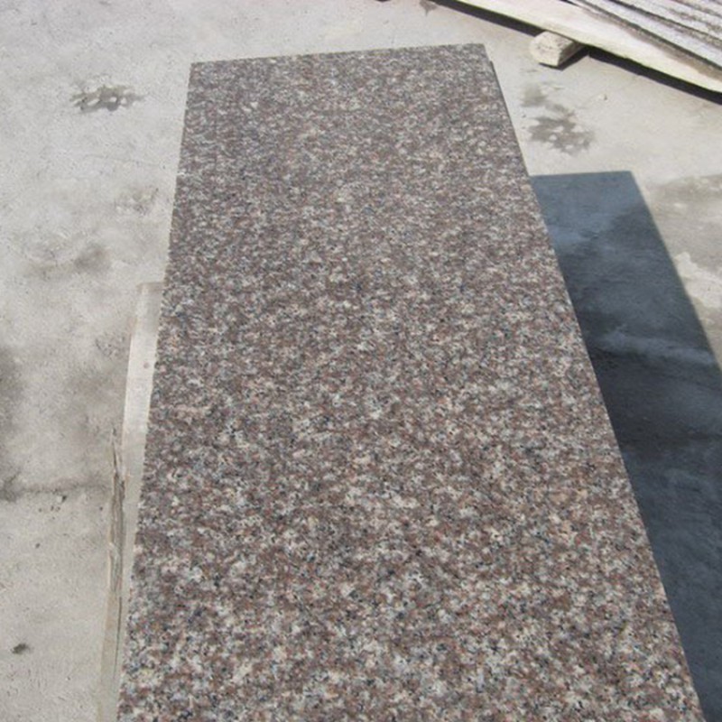 Wholesale Good Quality Low Price Natural Chinese Pink Porno Granite G664 Slab