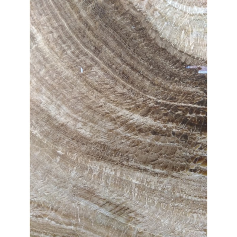 Brown Wood Vein Onyx Slab