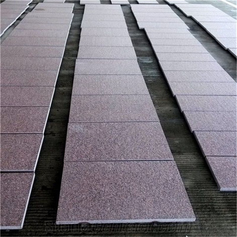 Imported Cheap Price India Red Granite Tiles