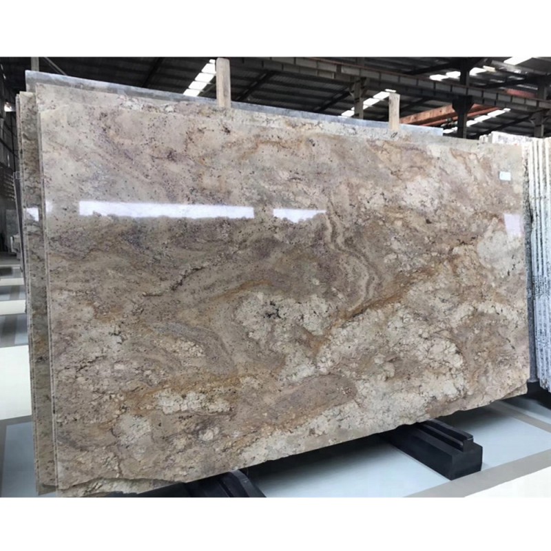 Thailand Marbre Petrified Wood Granite Slab