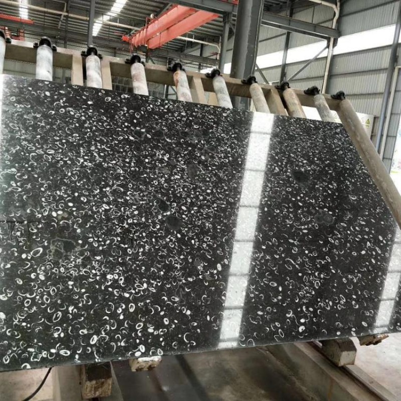 Elegent China Fossil Black Marble Black Flowers Stone Cheap For Sale