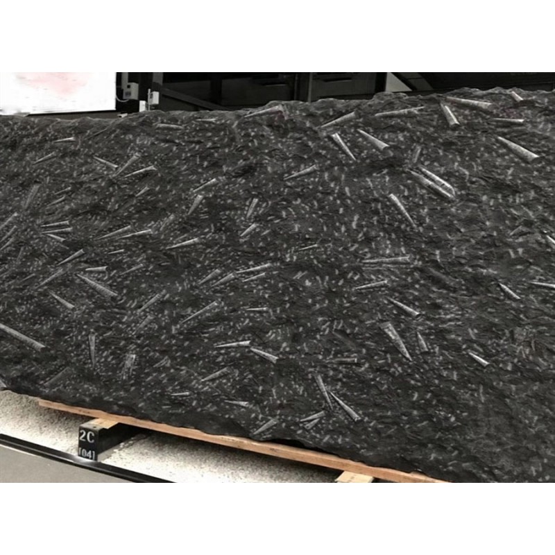 Luxury Stone Natural Black Granite Polished Underwater World Fossil Stone Granite For Interior And Exterior Wall Cladding