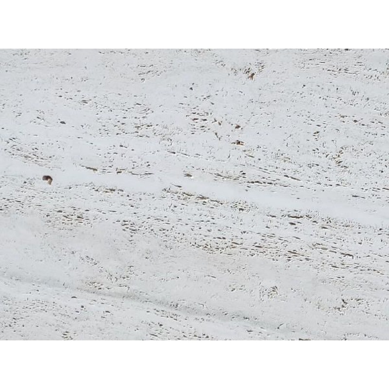 St. Caterina Bianco Travertine, Quarried In Italy, Ivory