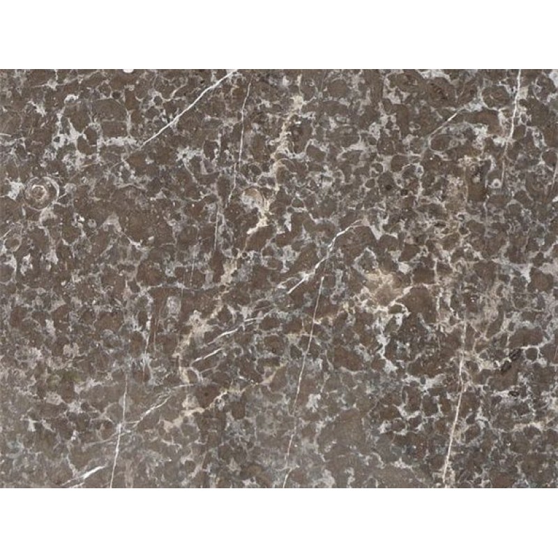 Leopard Grey Marble  Quarried In Italy Gray