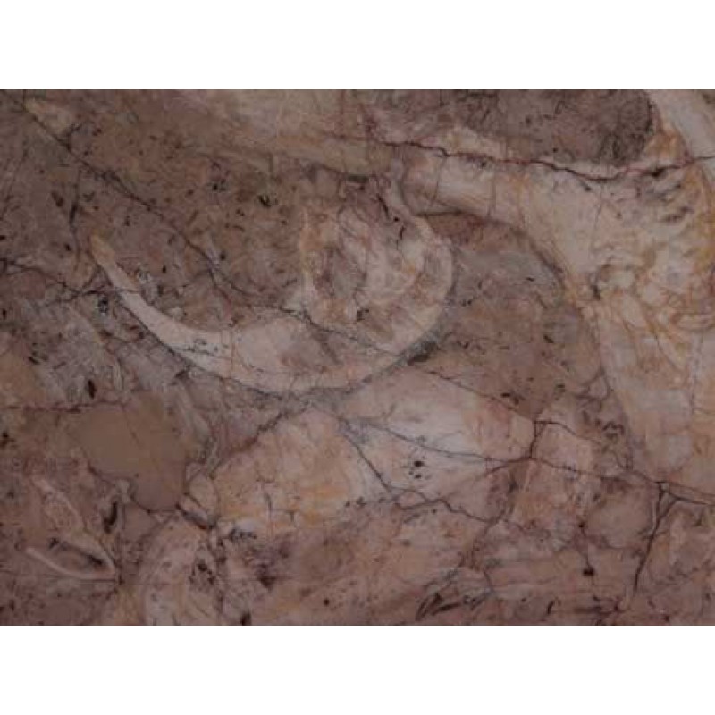 Pakistan Fossil Marble  Quarried In Pakistan Beige