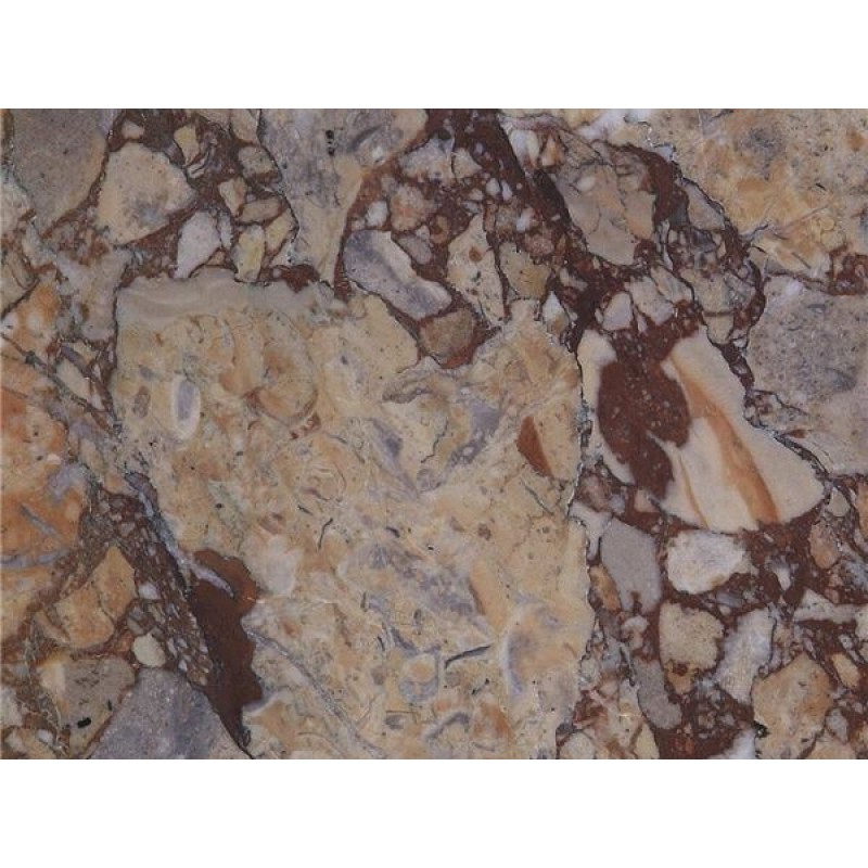 Breccia Colorata Marble Quarried In France Multicolor