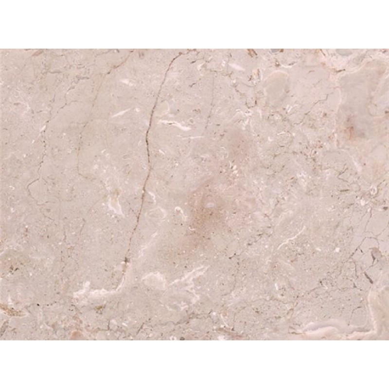 Seashell Marble, Quarried In Iran, Beige