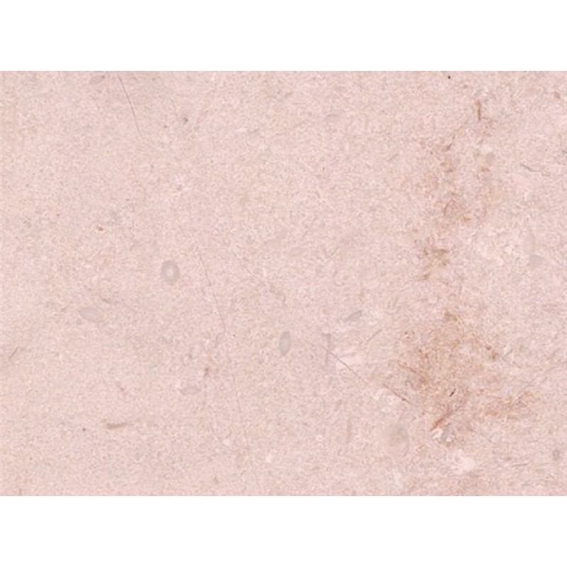 Iran, Beige,  Bella Monica Marble