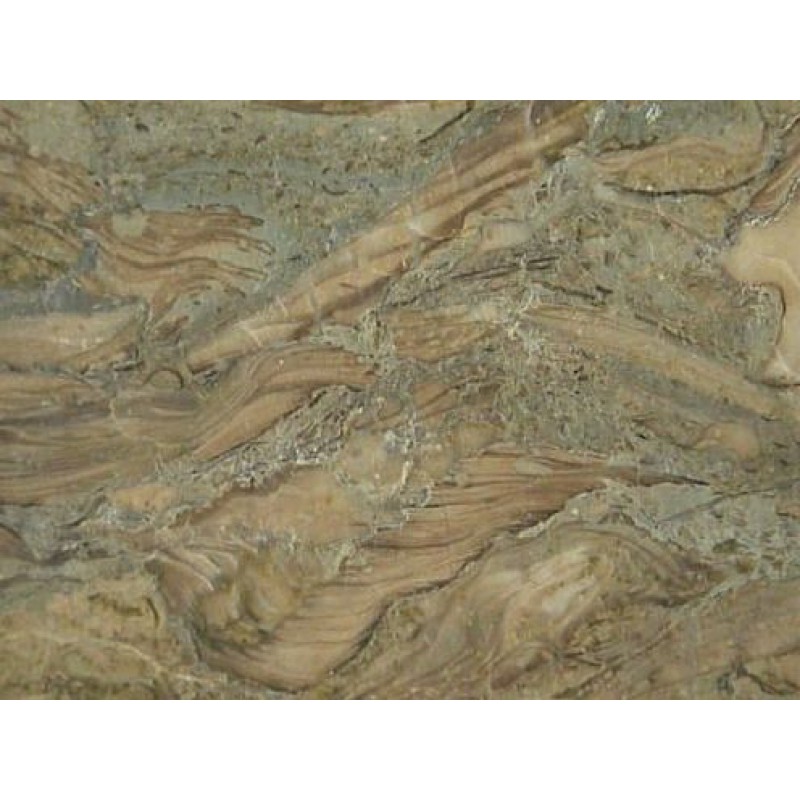 Fossil Marble  Quarried In Turkey Beige