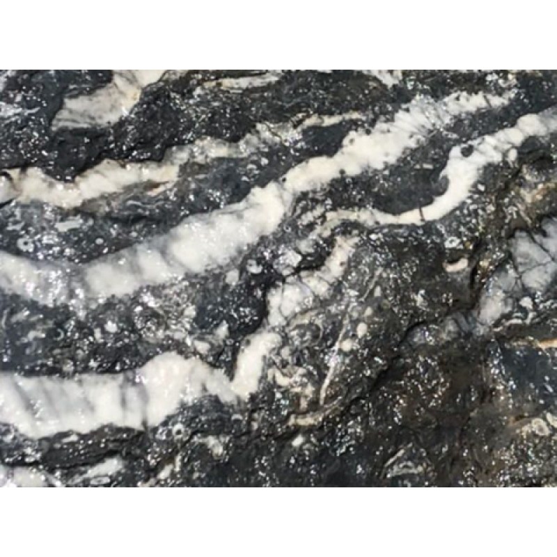 Australia, Orbicular Black Marble