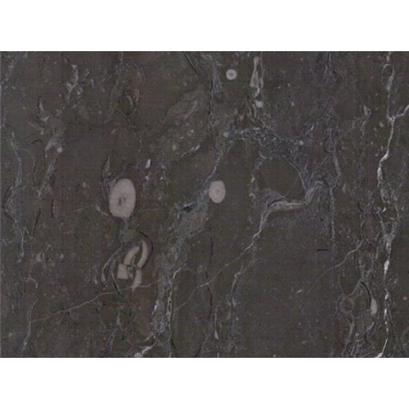 China Tesla Brown Marble