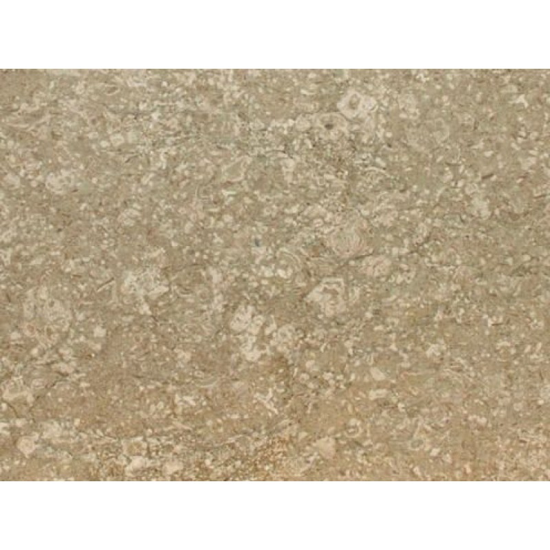 Crema Caribe Marble   Quarried In Venezuela Beige