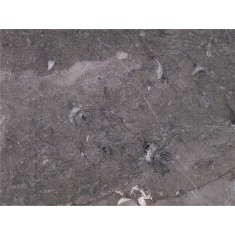 Iran Patini Grey Marble